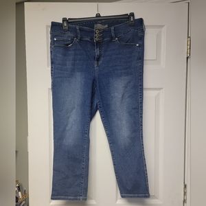 Torrid Blue Ankle & Cropped Jeans